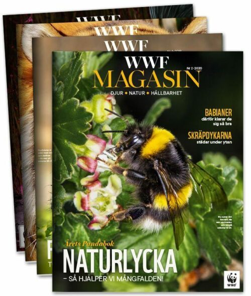 WWF-Magasin-tidningar-2-2020
