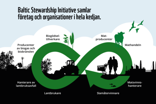 Baltic-Stewardship-grafik TEXT: "Baltic Stewardship Initiative samlar företag och organisationer i hela kedjan". Illustration av evighetstecken med olika aktörer såsom mathandeln, matsvinnshanterare, slamåtervinnare, matproducenter, lantbrukare, hanterare av lantbruksavfall, producenter av biogas och biobränslen, biogödseltillverkare