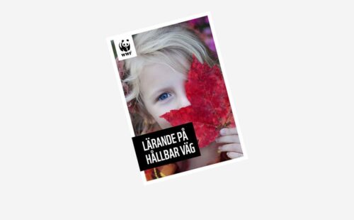 larande-pa-hallbar-vag-2019