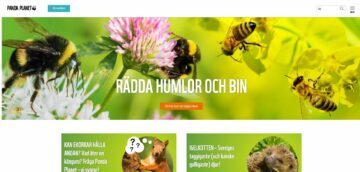 Pandaplanet.se Startsidan till Panda Planet - omslagsbilden är fyra bin och humlor på olika blommor. Text: "Rädda humlor och bin" och "Så här kan du hjälpa dem".