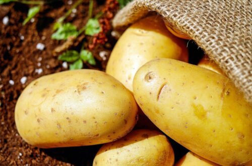 Potatis_ Couleur från Pixabay