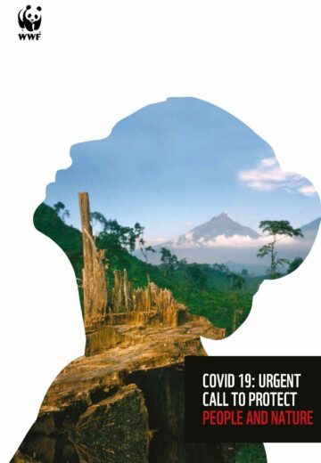 En silhuett av en person fylld med en bild av en grön skog med förfallna trädstammar och berg i bakgrunden. Text: "COVID 19: URGENT CALL TO PROTECT PEOPLE AND NATURE".