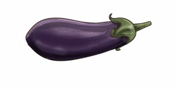 vegoguiden-aubergine