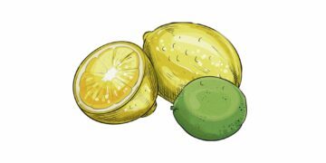 vegoguiden-Citron och lime