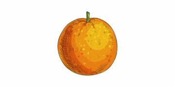 vegoguiden-clementiner och mandariner
