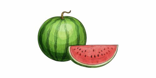 vegoguiden-melon, Fotograf: iStock Illustration av en hel vattenmelon med grön randig yta och en skiva av den röda insidan med svarta kärnor.