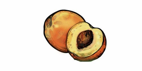 vegoguiden-persikor och nektariner, Fotograf: iStock Illustration av en hel persika och en halverad persika med synlig kärna.