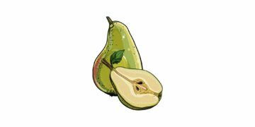 Illustration av två päron, ett helt och ett halvt, visar grönt skal och innerkött med kärnor.