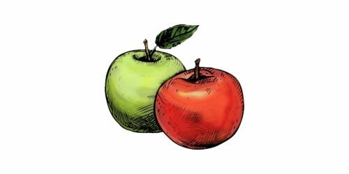 Illustration av två äpplen, ett grönt med blad och ett rött, illustrerade i skissstil med detaljerade skuggor.