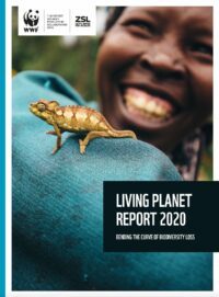 En kamouflagemönstrad ödla sitter på en persons arm. Text: "LIVING PLANET REPORT 2020 - BENDING THE CURVE OF BIODIVERSITY LOSS". WWF-logotyp i övre vänstra hörnet.