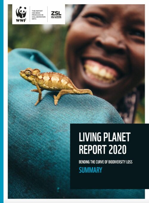 En kameleont på en människas axel, med personen bakom leende. Text: "LIVING PLANET REPORT 2020 BENDING THE CURVE OF BIODIVERSITY LOSS SUMMARY". WWF-logotyp i övre vänstra hörnet.
