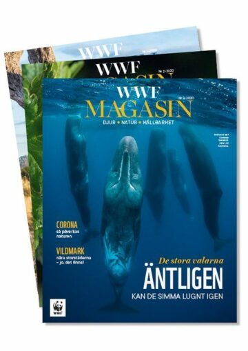 WWF-Magasin-Sep-2020