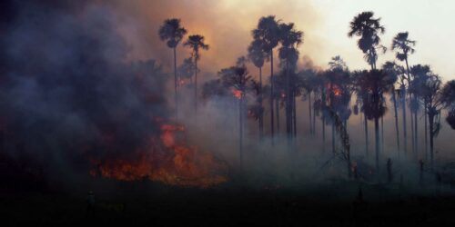 El Nino Skogsbrand Amazonas