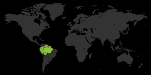 En världskarta med Amazonasområdet markerat i grönt i norra Sydamerika, som visar dess geografiska utbredning.