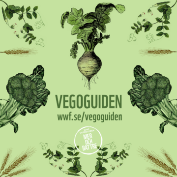 vegoguiden-2020-10-0.png