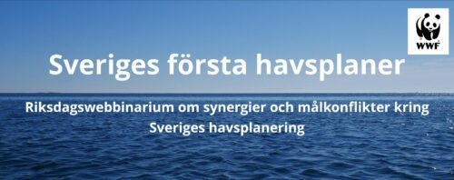 Horisont av hav med klar blå himmel. Texten lyder: "Sveriges första havsplaner – Riksdagswebbseminarium om synergier och målkonflikter kring Sveriges havsplanering."