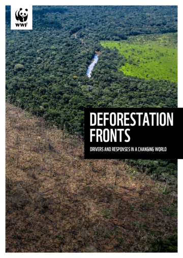 Deforestation_fronts-full_report-ENG-1 Landskap med ett skarpt avgränsat område där skog har avverkats, jämfört med tät, grön skog intill. Text: "Deforestation Fronts - Drivers and Responses in a Changing World".