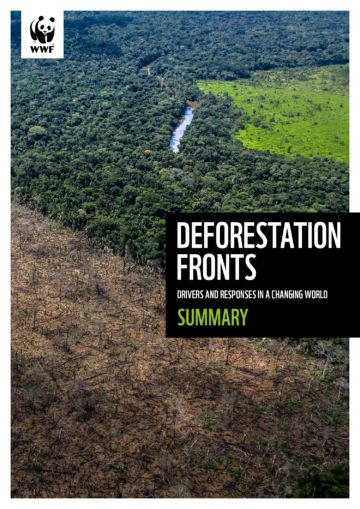 Deforestation_fronts-Summary_ENG-1 Flygfoto visar tydlig avskogning med frodig skog och kal mark intill varandra. Text: "DEFORESTATION FRONTS DRIVERS AND RESPONSES IN A CHANGING WORLD SUMMARY".