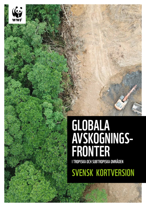 Deforestation_fronts-Summary_SWE-1 Deforestation_fronts-Summary_SWE-1
