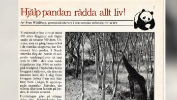 Hjalp pandan rädda allt liv