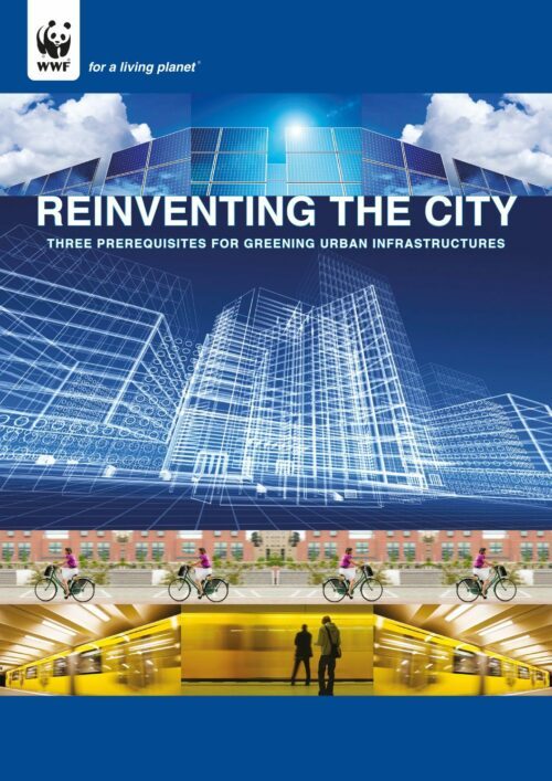 Reinventing the city omslag