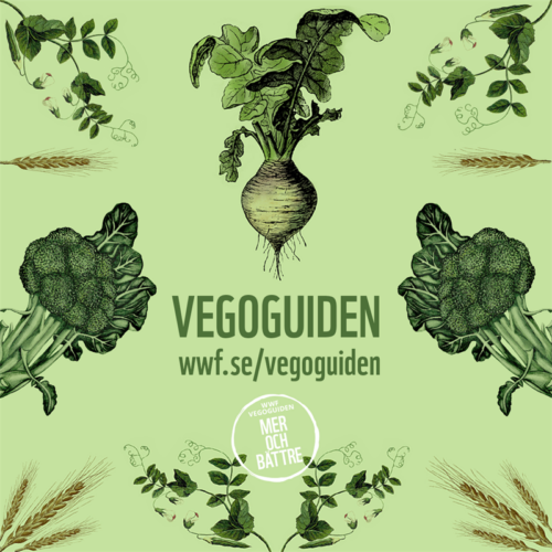 Vegoguiden