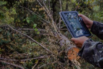 AI-app avslöjar avverkningar av skog