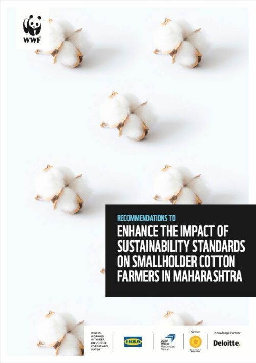Bomullsknoppar spridda över en vit bakgrund. Text: "Recommendations to enhance the impact of sustainability standards on smallholder cotton farmers in Maharashtra". WWF-logotyp i övre vänstra hörnet.