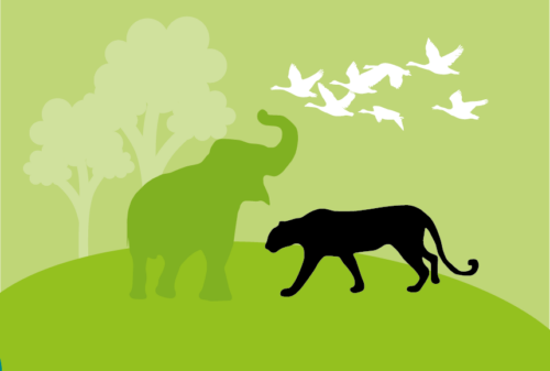WWF and H&M Group Biodiversity