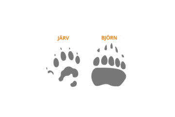 sparskola-jarv-2-ok