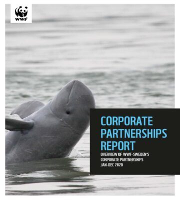 Corporate Partnerships Report-WWF Sweden-framsida En delfin hoppar upp, bakåt ur vatten, med text: "Corporate Partnerships Report. Overview of WWF-Sweden's Corporate Partnerships Jan–Dec 2020".