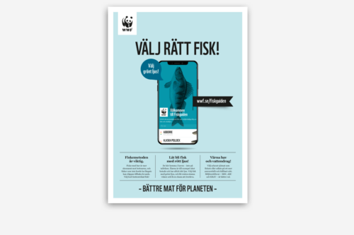 Affisch från WWF med en mobilskärm som visar en fisk och uppmaningen att välja rätt fisk. Text i bilden: WWF VÄLJ RÄTT FISK! Välj grönt ljus! wwf.se/fiskguiden Välkommen till Fiskguiden ABORRE ALASKA POLLOCK Fiskemetoden är viktig. Låt bli fisk med rött ljus! Värna hav och vattendrag! - BÄTTRE MAT FÖR PLANETEN -