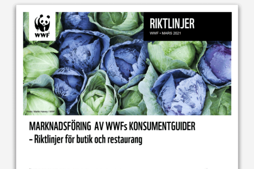 riktlinjer