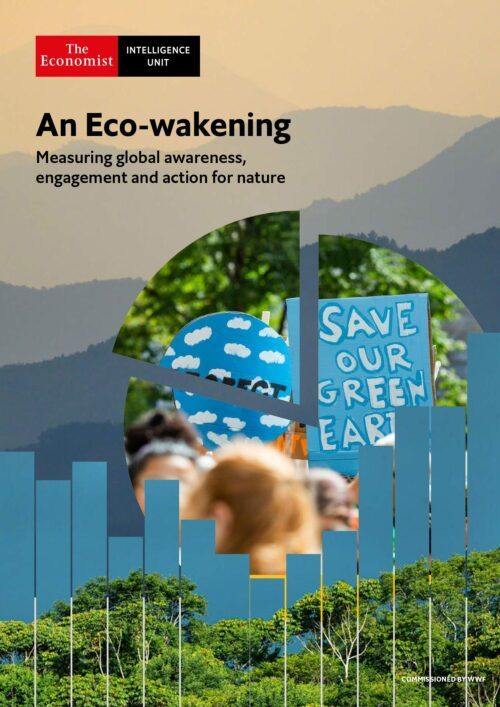 Diagram i cirkelform och stapeldiagram visar miljömedvetenhet och engagemang, med skyltar där det står "SAVE OUR GREEN EARTH". Titel: An Eco-wakening Measuring awareness, engagement and action for nature