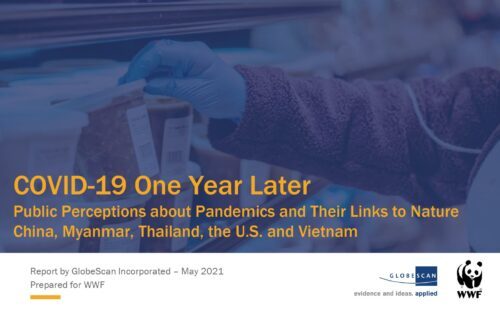 WWF-5-country-Survey—Public-Perceptions-about-Pandemics–m-embargo-t-24-maj-1 En person med blå plasthandske hanterar ett provrör. Text i bilden: "COVID-19 One Year Later. Perceptions about Pandemics and Their Links to Nature China Myanmar, Thailand, the U.S. and Vietnam."