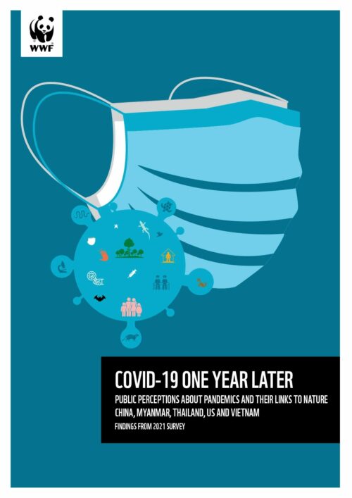 WWF_covid_19_one-year_later_kort-UPDATE-1 En blå ansiktsmask bakom en blå virusillustration med ikoner som representerar människor, träd och byggnader. Text: "COVID-19 ONE YEAR LATER Public Perceptions About Pandemics and Their Links to Nature China, Myanmar, Thailand, US and Vietnam". WWFlogotyp i övre vänstra hörnet.