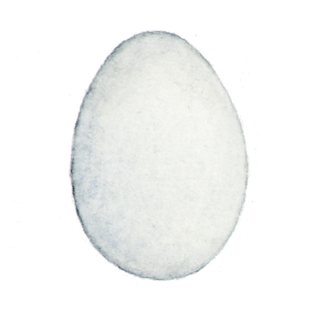Ägg_kvad