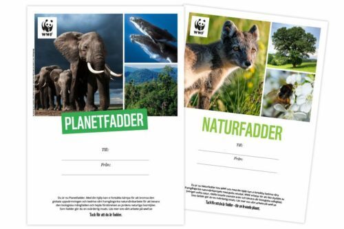 Ge-bort-fadderskap-planet-natur