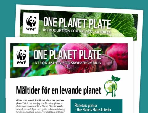 puff-OPP-infoblad