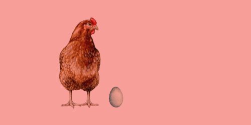 Om Köttguiden