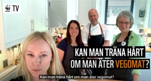 wwf tv kalla