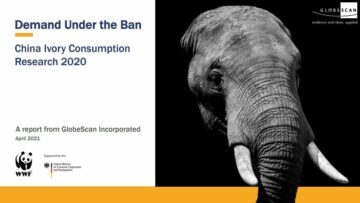 Elefantens huvud i svartvitt, delvis belyst mot svart bakgrund, med titeln "Demand Under the Ban. China Ivory Consumption Research 2020".