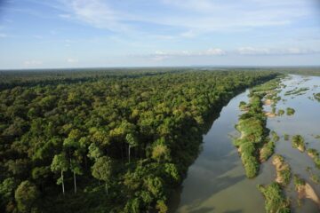 Photo: Adam Oswell-WWF-Greater Mekong