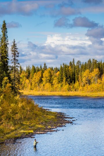 Fiskare, Sverige