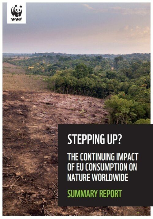 Stepping Up Avverkad mark gränsande till tät, grön skog. Text: "STEPPING UP? THE CONTINUING IMPACT OF EU CONSUMPTION ON NATURE WORLDWIDE. SUMMARY REPORT"