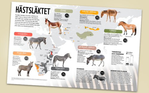 hastdjur-grafik-platta (WWF Magasin)