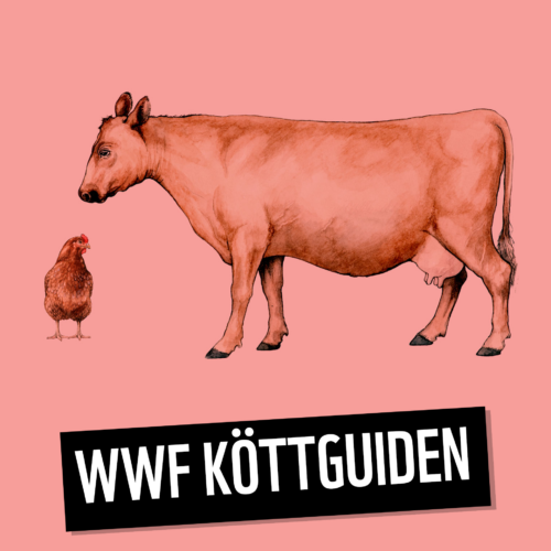 kottguiden4_fotowwf.png