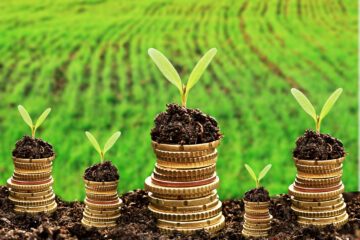 Currency , money, soil