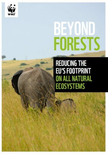 Beyond Forests