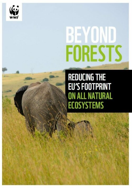 Beyond Forests Beyond Forests